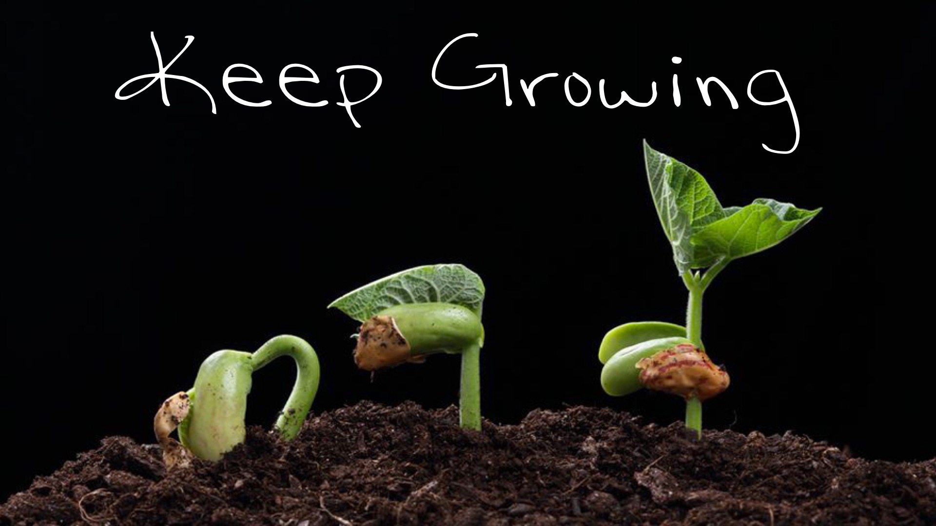 Keep Growing – Divine Truth Christian Center